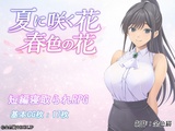 夏に咲く花 春色の花