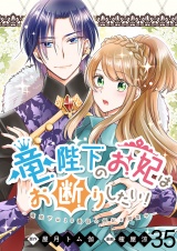 竜陛下のお妃はお断りしたい！ 【連載版】３５