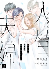 入替夫婦〜あなたが親友を抱いたとしても〜（１４）