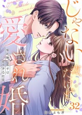 じゃない方、だけど愛され婚～契約婚の相手は一途すぎる社長32