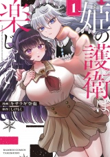 姫の護衛は楽じゃない (1)