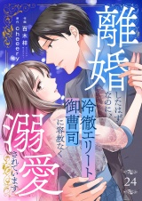 離婚したはずなのに、冷徹エリート御曹司に容赦なく溺愛されています２４